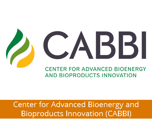 Center for Advanced Bioenergy and Bioproducts Innovation (CABBI)