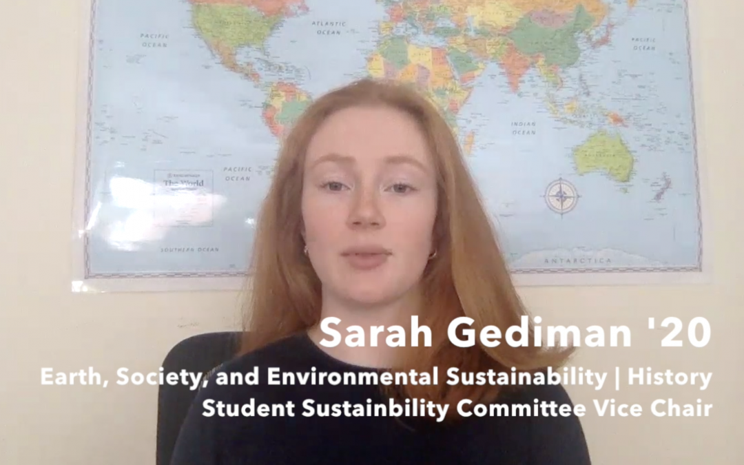 A (Di)Vested Interest: An Interview with Sarah Gediman