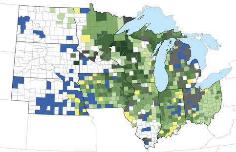 Stormwater & Mosquito Control Project | ILLINOIS