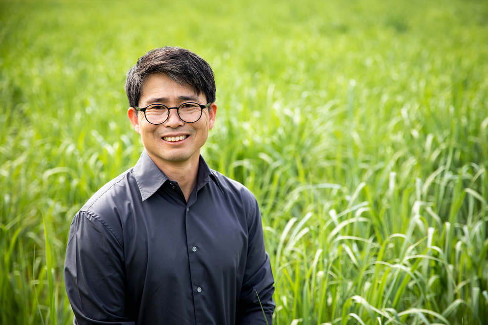 iSEE Project Shows Benefits of Prairie Grass for Sustainable Aviation Fuel